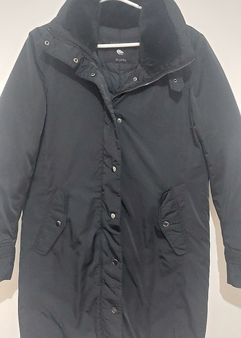 siyah kaban - Görsel 2