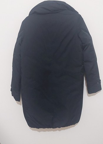 siyah kaban - Görsel 3