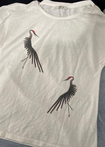 HER BİRİ SIFIR GİBİ BEDAVA TİŞÖRTLER - Görsel 7