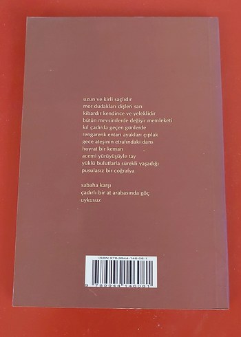 Tayfun Özkan Uykusuz Şiir Kitabı - Görsel 2