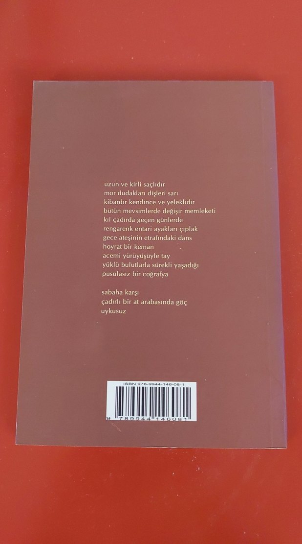 Tayfun Özkan Uykusuz Şiir Kitabı - Görsel 2