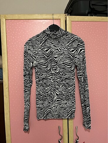 Zebre desen badi