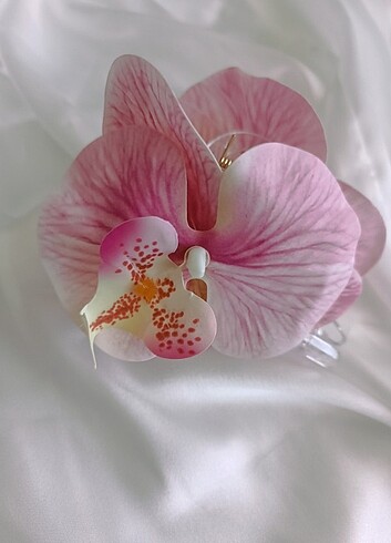 Aloha Orkide Mandal Toka
