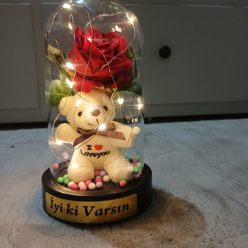 ayıcıklı ışıklı teraryum - Görsel 2