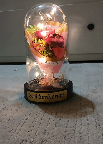 Teraryum (ışıklı) - Görsel 2