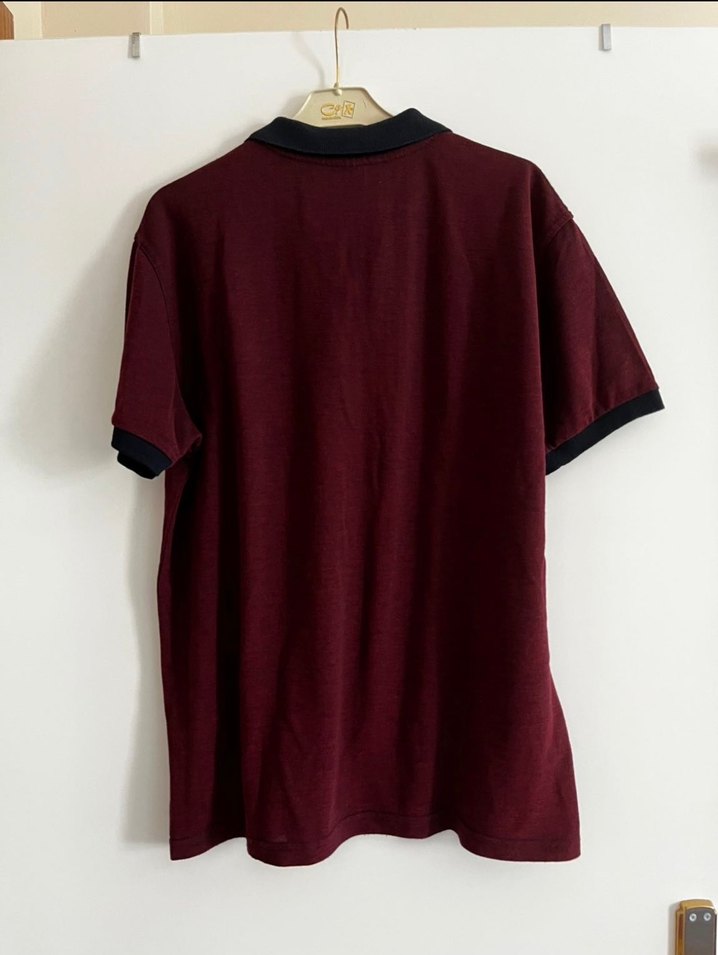 Erkek Polo Tişört - Görsel 2