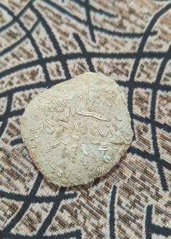 Bej Yılan Desenli Fırın Eldiveni - Görsel 2