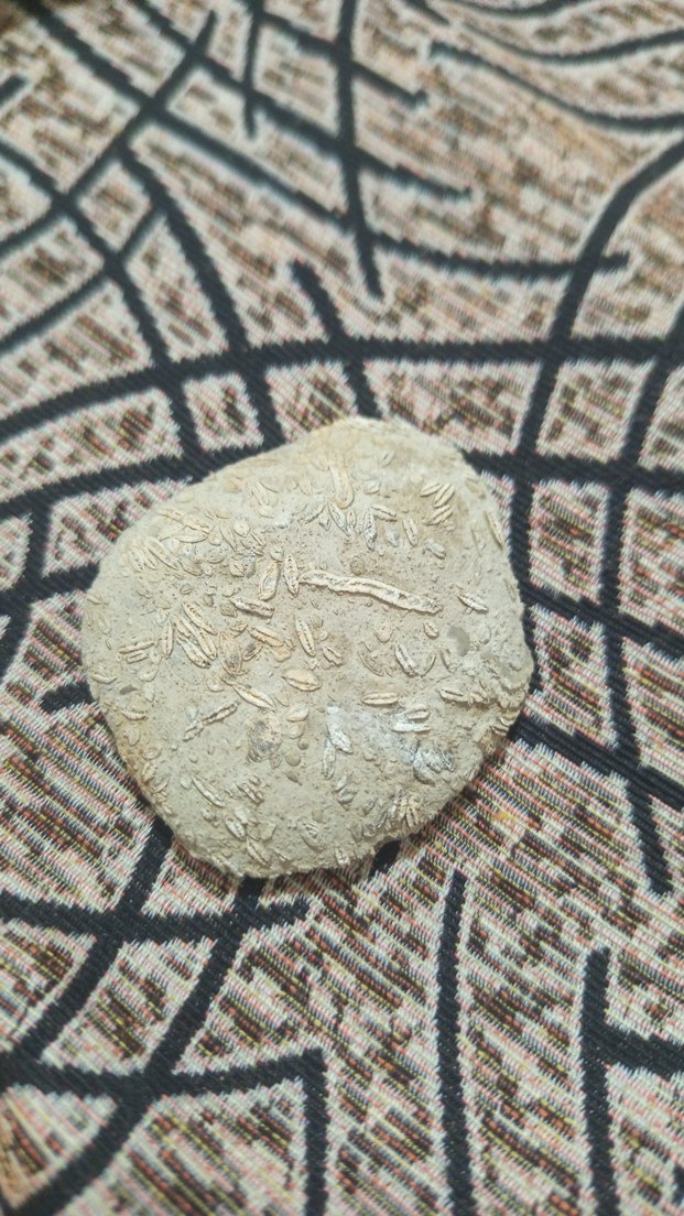 Bej Yılan Desenli Fırın Eldiveni - Görsel 2