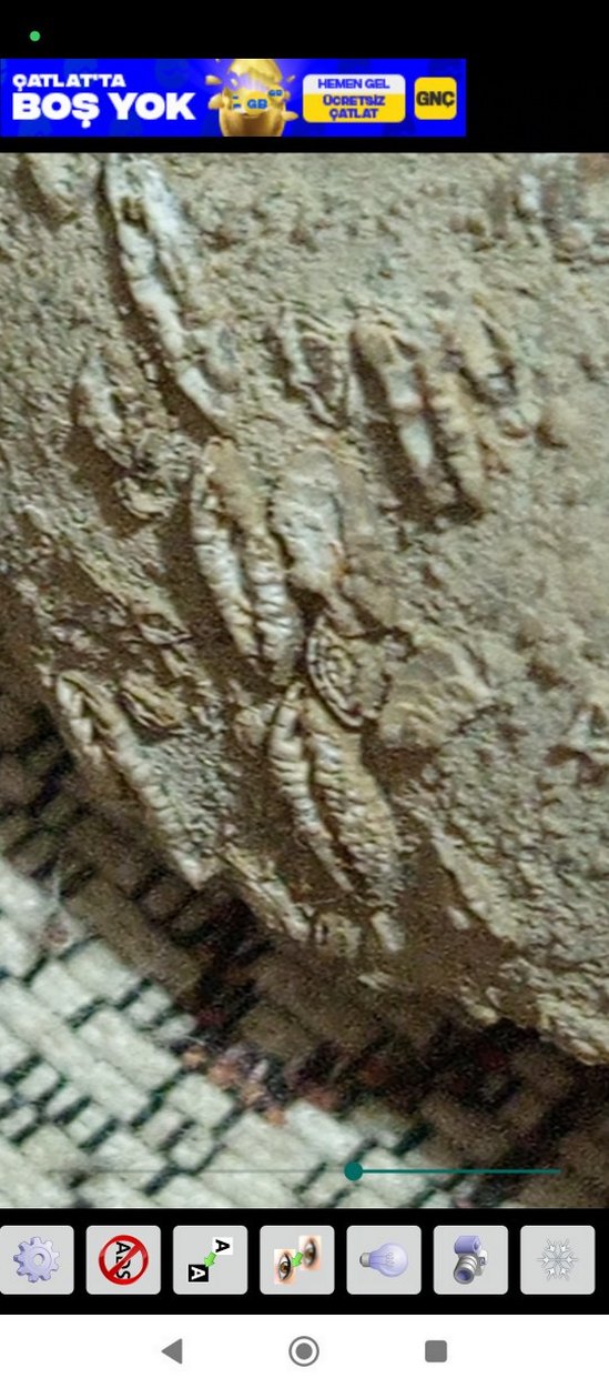 Bej Yılan Desenli Fırın Eldiveni - Görsel 4