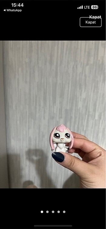 LPS miniş