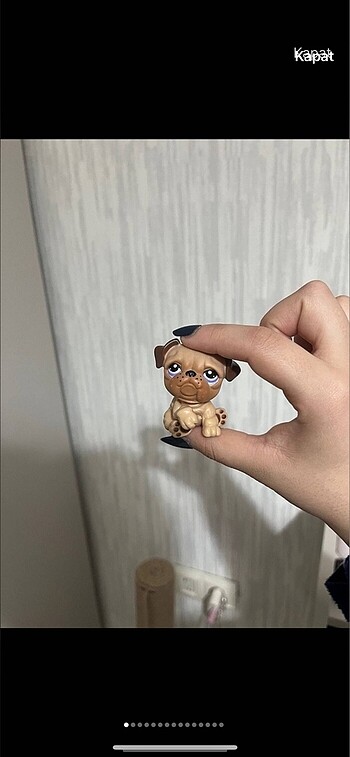 Beden LPS miniş