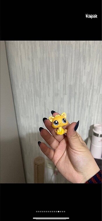 Beden Renk LPS miniş
