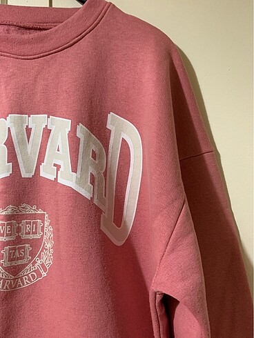Diğer Harvard yazılı sweatshirt