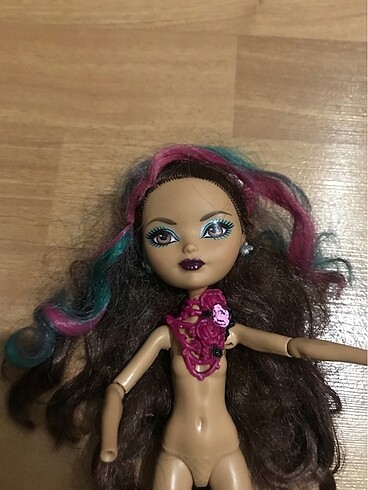  Ever after high