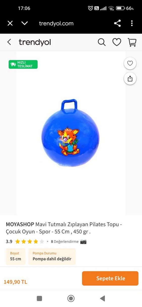 Saplı Mavi Renkli Çocuk plates Topu - Görsel 3