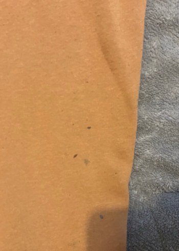 Sweatshirt - Görsel 2