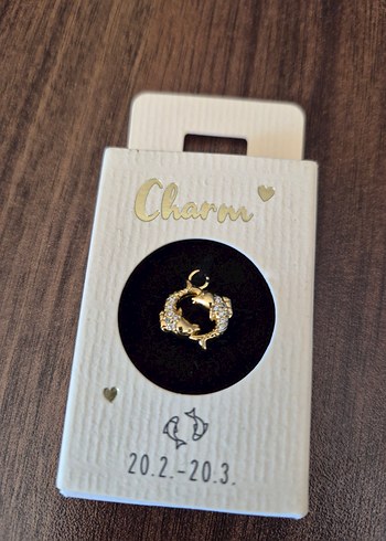 Parlak Gold Kolye ve Charm - Görsel 4