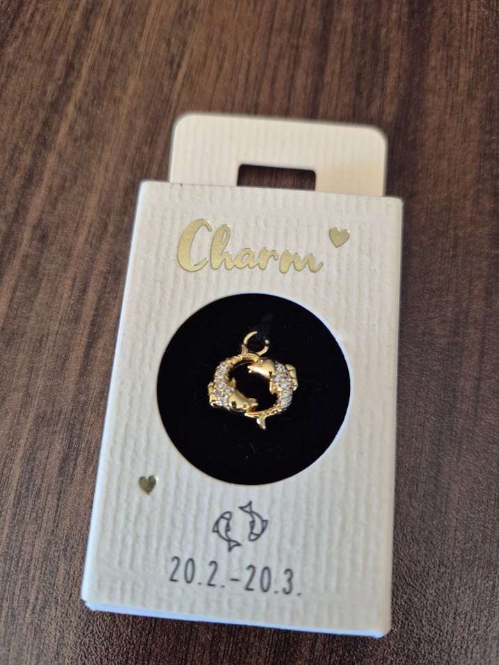 Parlak Gold Kolye ve Charm - Görsel 4