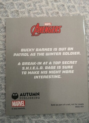 MARVEL AVENGERS SHIELDING FORM DANGER
