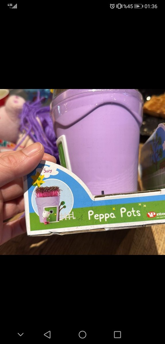 Pastel Mor Peppa Pig Saksı Oyuncak - Görsel 4