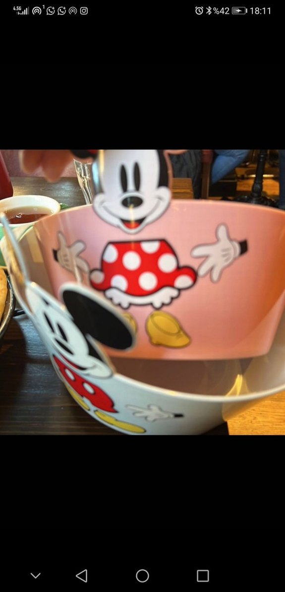 Mickey Mouse & Minnie Temalı Renkli Tabak Seti - Görsel 3