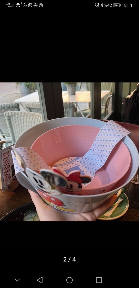 Mickey Mouse & Minnie Temalı Renkli Tabak Seti - Görsel 2