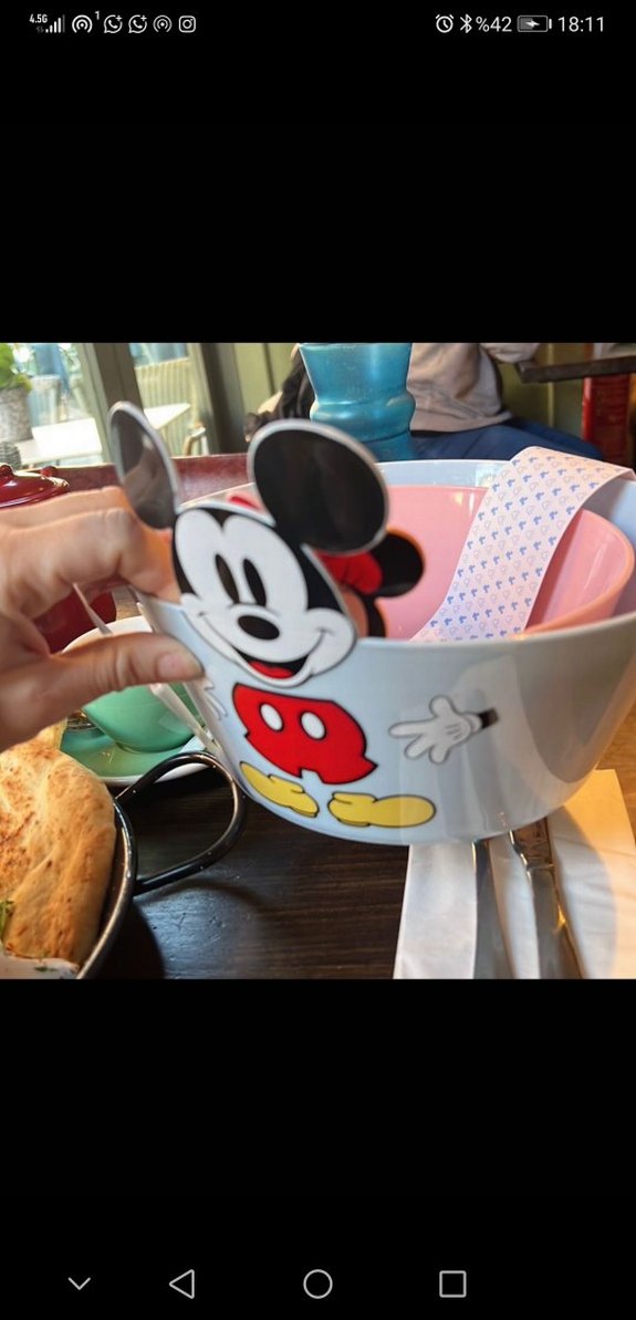 Mickey Mouse & Minnie Temalı Renkli Tabak Seti - Görsel 4