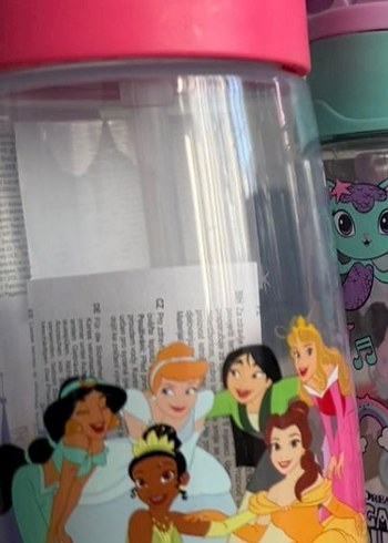 Disney Prenses Temalı Pembe Matara suluk - Görsel 3