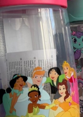 Disney Prenses Temalı Pembe Matara suluk - Görsel 2