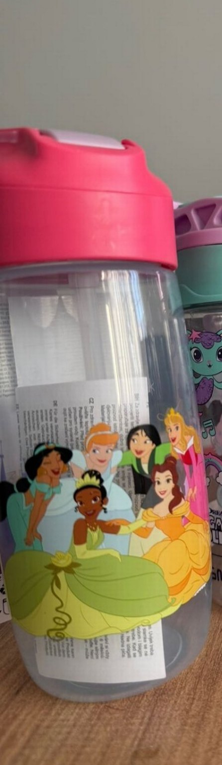 Disney Prenses Temalı Pembe Matara suluk - Görsel 3