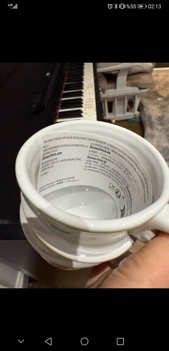 Disney Alice Harikalar Diyarında Kupa - Görsel 4