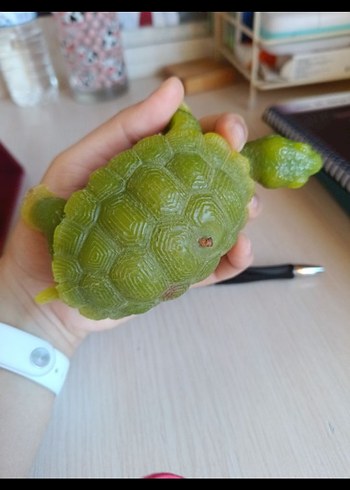 Diğer Koyu Yeşil Kaplumbağa mum heykel