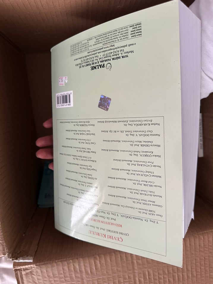 Diferansiyel Denklemler ve Sınır Değer Problemleri Kitabı Palme - Görsel 2