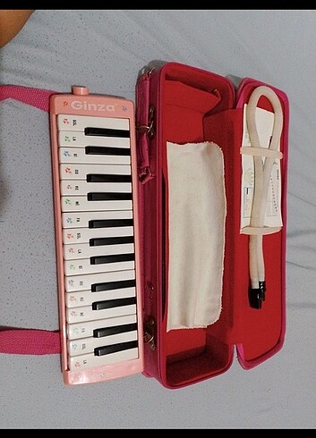 Diğer Melodica