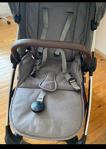 Mamas & Papas Diğer