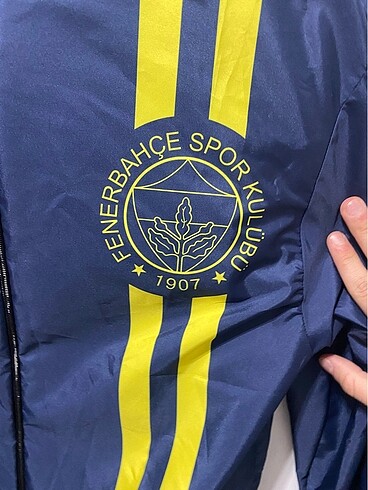 Diğer Fenerbahçe Yağmurluk