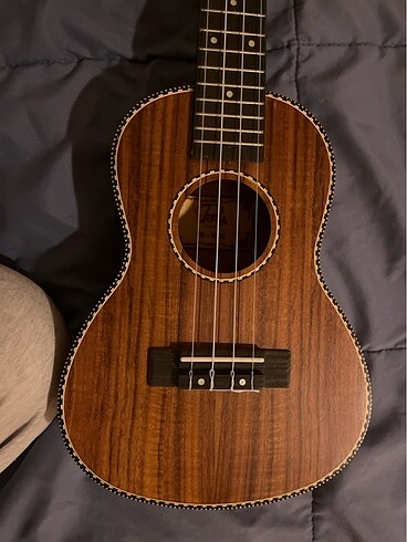  Beden Renk Ukulele