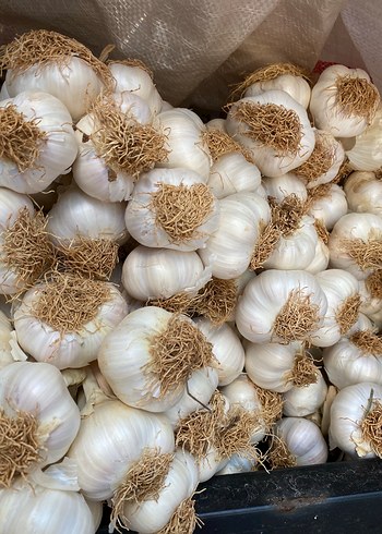 Sarımsak 1kg