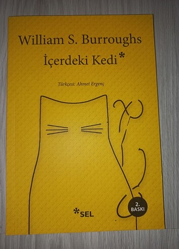 İçerdeki kedi