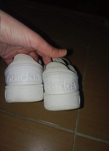 Adidas Adidas