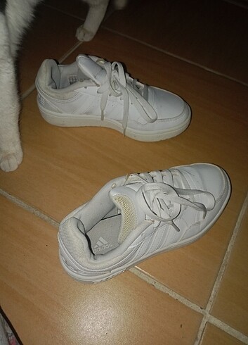 36 Beden beyaz Renk Adidas