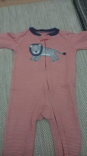 Carters