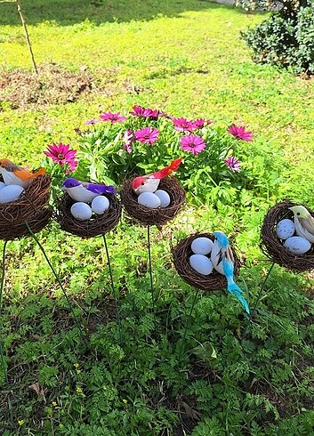 Ithal Çubuklu Yuvalı yumurtalı kuş