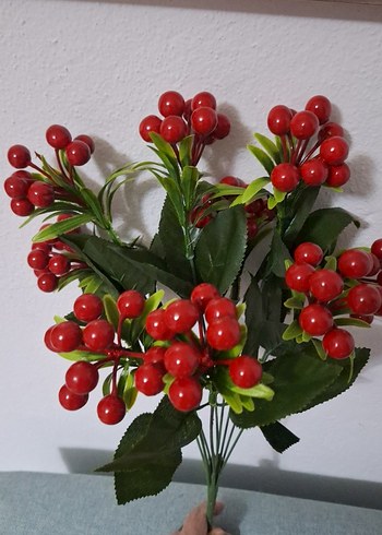 72 adet kokinalı 8 dallı yılbaşı çiçeği - Görsel 3