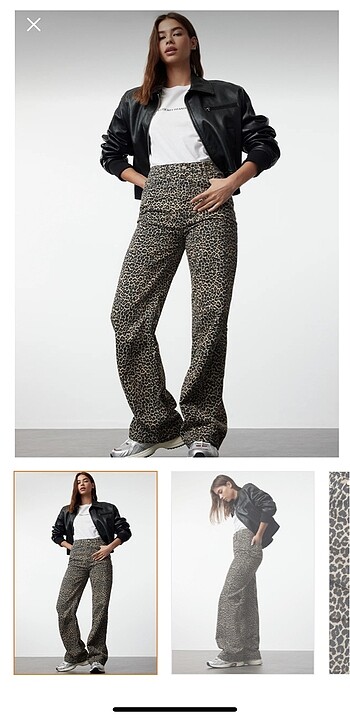 Leopar Jean
