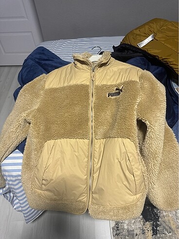 Puma pumaaa