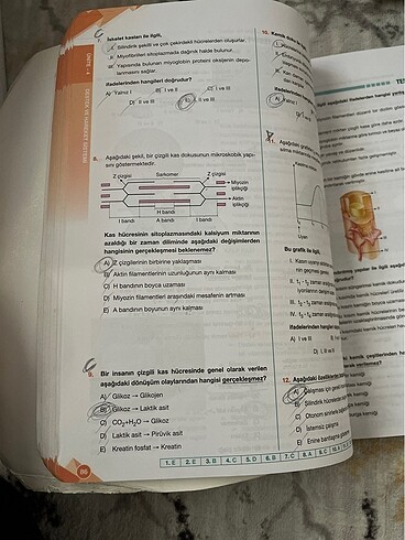 11. sınıf biyoloji kitabı - Görsel 3