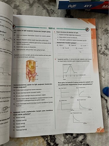 11. sınıf biyoloji kitabı - Görsel 4