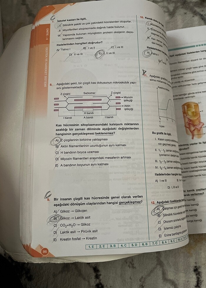 11. sınıf biyoloji kitabı - Görsel 3