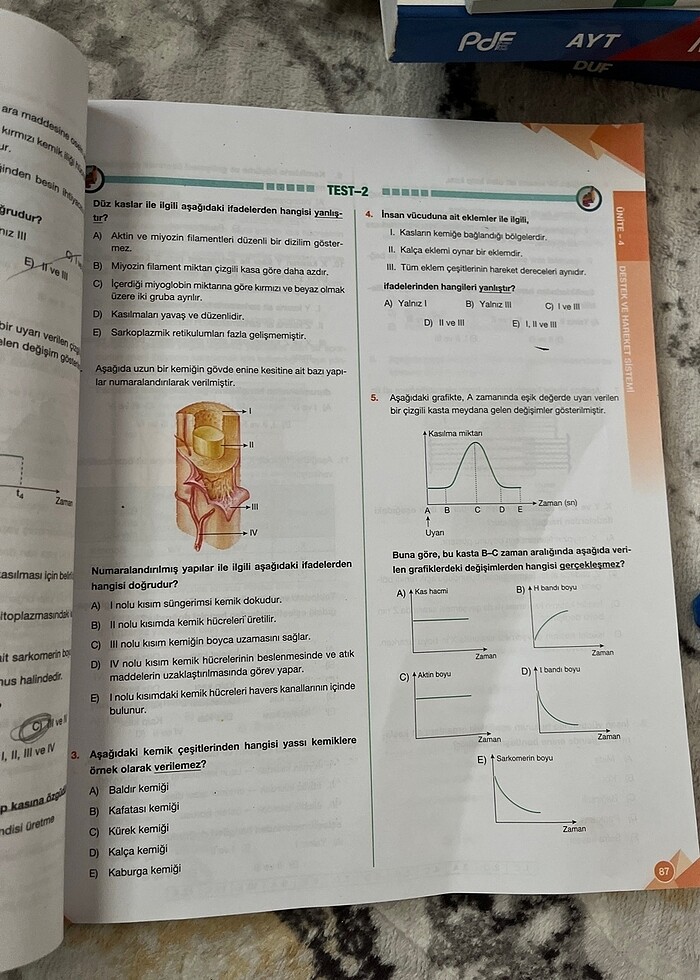 11. sınıf biyoloji kitabı - Görsel 4